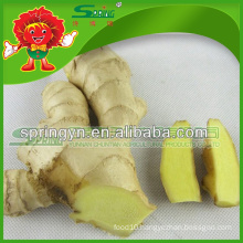 White Ginger supplier fresh frozen ginger